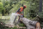 Tronçonneuse thermique 550XP MARK II HUSQVARNA – Image 4