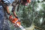Tronçonneuse thermique 555 HUSQVARNA – Image 3